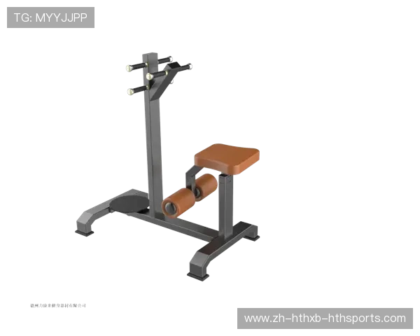 必确健身器材品牌评测与适合人群详细指南